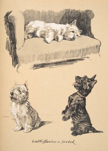 West Highlanders e Scotch, 1930, ilustrações de seu caderno de desenho usado para apenas entre amigos, mais tarde publicado pela Eyre e Spottiswoode Limited, 1934 (giz e charcolal no papel)