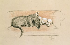 Wolfhound e Bull Terrier Adormecidos num Sofá (pastel sobre papel) de Cecil Charles Windsor Aldin