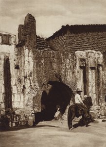 México: Oaxaca, Tuberia espanola (foto p/b)