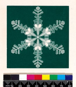 Cristais de neve de Cecilia Glaisher