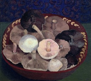Cogumelos