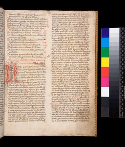 Sra. 148. Gregório o Grande, Dialogi em tradução italiana. por Domenico Cavalca, f.2r Letra decorada [N] em tinta vermelha com caneta-florescente em tinta marrom de Central Italian School