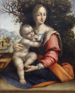 Madonna e Criança (Nossa Senhora da Árvore)