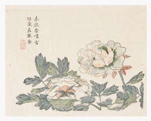 Jardim de Sementes de Mostarda de Chang Chao