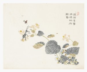 Jardim de sementes de mostarda de Chao Mon Yu