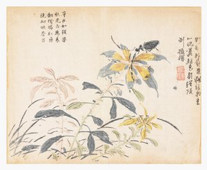 Jardim de sementes de mostarda de Chao Yi (after)