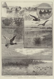 Tiro ao Pato em Long Point Island, no Lago Erie (gravura) de Charles (after) Whymper