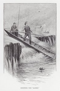 Pesca: Atirar no 