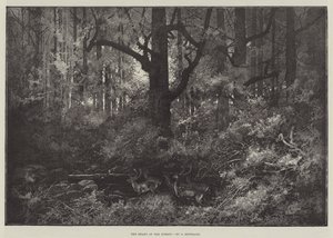 O coração da floresta