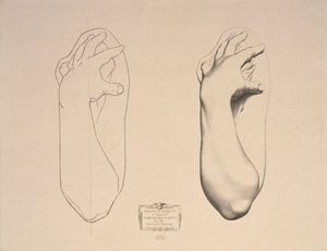 Braço Dobrado de uma Mulher, Prato 22 do Volume I Curso de Desenho, Modelos da Colisão, c.1868