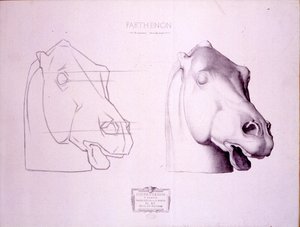 Cabeça de cavalo do Frontão Ocidental do Partenon, placa 47 de Cours de Dessin, c.1898