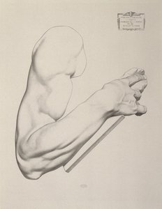 Impressão em papel cinza, 1868