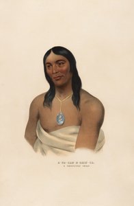 A-na-cam-e-gish-ca de Charles Bird King