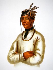 Caatousee of the Chippewa Tribe (cor litho) de Charles Bird King