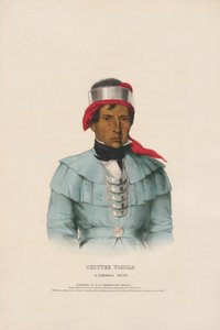 Chittee Yoholo — Um chefe Seminole