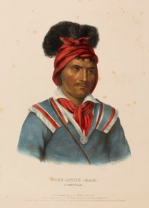 FOKE-LUSTE-HAJO. A SEMINOLE, de History of the Indian Tribes of North America de Charles Bird King