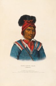  de Charles Bird King