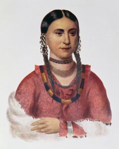 Hayne Hudjuhini ou a "águia do prazer", ilustração "dos tribos indianos de America do Norte, Vol.1", por Thomas L. McKenney e por James Salão, bar. John Grant