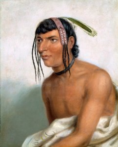  de Charles Bird King