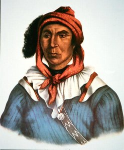 Julcee Mathla de Charles Bird King