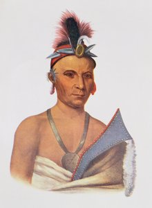 Keesheswa ou "o sol", um chefe da raposa, c.1837, ilustração "das tribos indianas de America do Norte, Vol.2", por Thomas L. McKenney e por James Salão, bar. John Grant