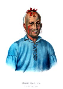 Kishkalwa, um chefe Shawnee de Charles Bird King