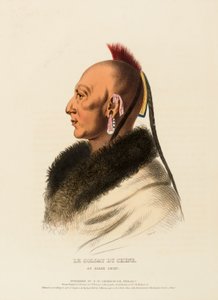 LE SOLDAT DU CHENE, UM CHEFE OSAGE, de História das tribos indígenas da América do Norte de Charles Bird King