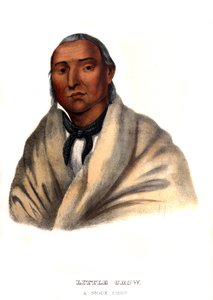 Pequeno Corvo, um Chefe Sioux