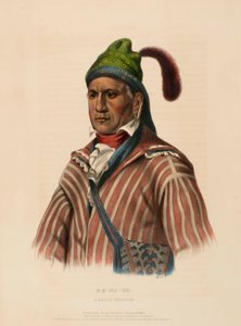 ME-NA-WA. A CREEK WARRIOR, de History of the Indian Tribes of North America de Charles Bird King