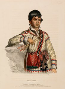 MISTIPPEE, de History of the Indian Tribes of North America (História das tribos indígenas da América do Norte) de Charles Bird King