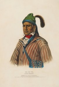 Me-na-wa - um guerreiro creek de Charles Bird King