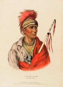 NOT-CHI-MI-NE. AN IOWAY CHIEF, do History of the Indian Tribes of North America (História das tribos indígenas da América do Norte) de Charles Bird King