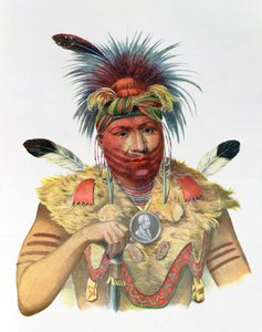 Ne-Sou-A-Quoit, chefe da Fox, ilustração de "As tribos indígenas da América do Norte", de Thomas L. McKenney e James Hall, pub. John Grant