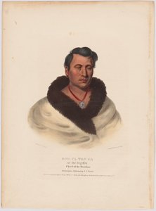 Ong-pa-ton-ga de Charles Bird King