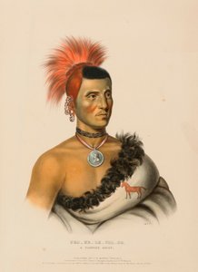 PES-KE-LE-CHA-CO, UM CHEFE PAWNEE, de History of the Indian Tribes of North America (História das tribos indígenas da América do Norte) de Charles Bird King