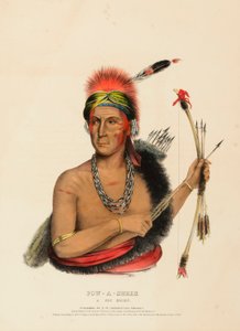 POW-A-SHEEK. UM CHEFE DE RAPOSA. de Charles Bird King