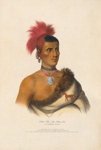  de Charles Bird King
