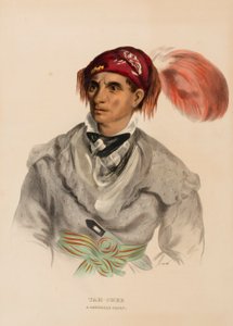 Tah-Chee (holandês), um chefe Cherokee, de History of the Indian Tribes of North America de Charles Bird King