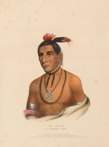 WA-KAWN, UM CHEFE WINNEBAGO, de História das Tribos Indígenas da América do Norte de Charles Bird King