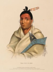 WAA-TOP-E-NOT, de History of the Indian Tribes of North America (História das tribos indígenas da América do Norte) de Charles Bird King