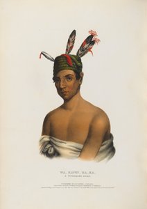 Wa-kawn-ha-ka - um chefe Winnebago de Charles Bird King
