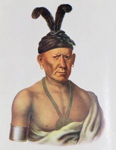 Wakechai ou "agachando a águia", um chefe de Sauk, ilustração "das tribos indianas de America do Norte, Vol.2", por Thomas L. McKenney e por James Salão, bar. John Grant