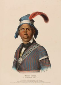 YAHA-HAJO. A SEMINOLE CHIEF, de History of the Indian Tribes of North America de Charles Bird King