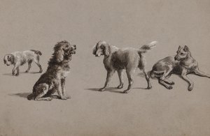 Estudos de cães (caneta, pincel, tinta e guache sobre papel)