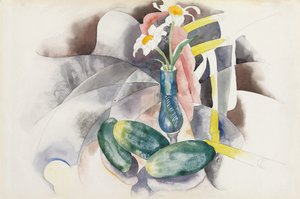 Flores e pepinos, c.1924 (aquarela e lápis sobre papel) de Charles Demuth