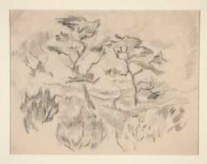 Paisagem (Bermudas ou Provincetown?) de Charles Demuth