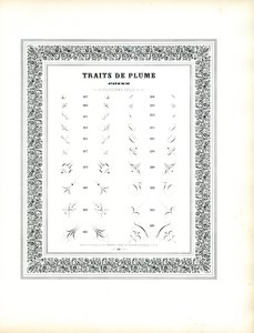 Elementos caligráficos de canto - Traits de Plume Coins (impressão) de Charles Derriey