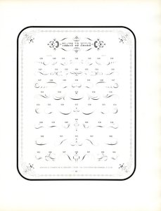 Floreados caligráficos e elementos decorativos (impressão)