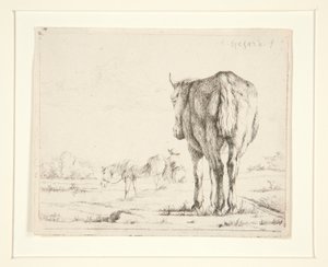 Dois cavalos pastando de Charles Echard