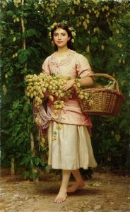 The Hop Picker
